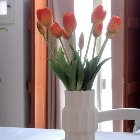 Apartament Casa Mami *